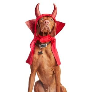 Devil Dog headpiece halloween costume